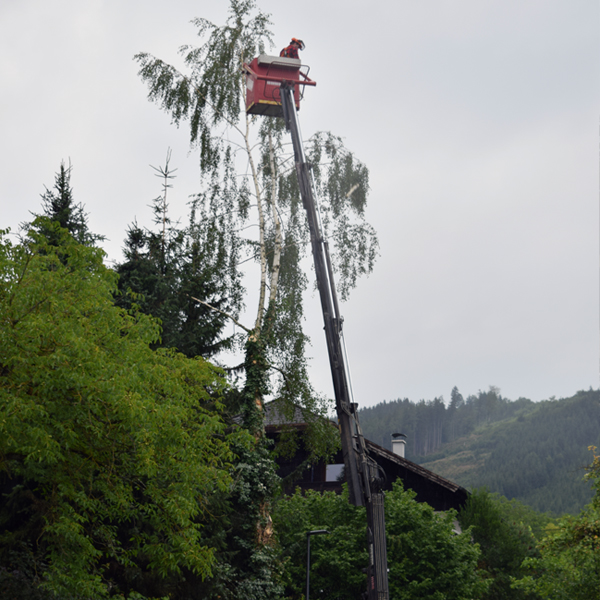 Gartengestaltung mit Firma Viehauser ✓Natursteinmauer ✓gesiebter Humus ✓Rasen ✓Rollrasen ✓Begrünung ✓Baumschnitt ✓Granitsteine ✓Naturstufen