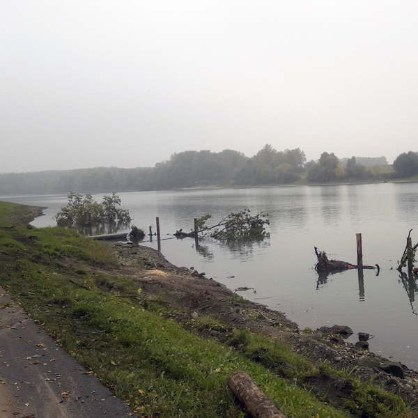 Seearbeiten / Arbeiten am Wasser mit Firma Viehauser ✓Pilotierung ✓Kranarbeiten ✓Versenken ✓Piloten ✓ Ufermauer ✓Uferstabilisierung ✓Stegbau ✓Bootsanlegestellen ✓Badeplatz